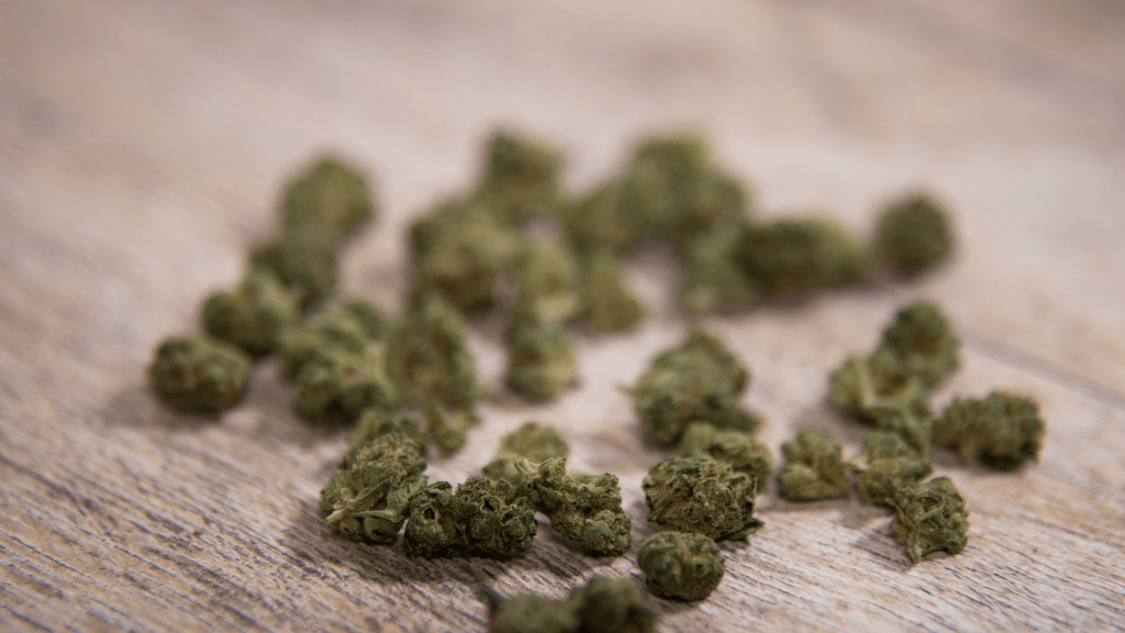 The Debate: Is a Strain Still a Strain Once It’s Processed into Oil?